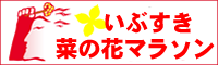 いぶすき菜の花マラソン